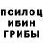Псилоцибиновые грибы Psilocybine cubensis Heam Heamovich
