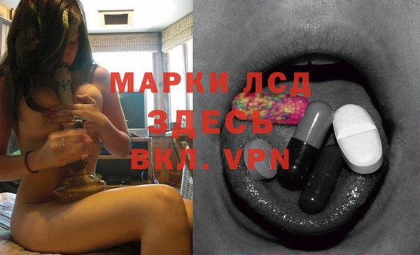 spice Вяземский