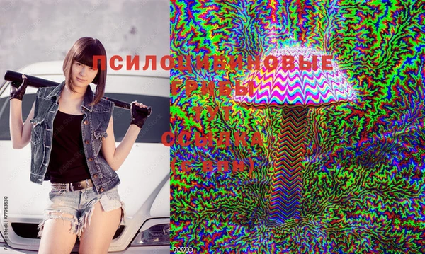 кокаин колумбия Вязьма