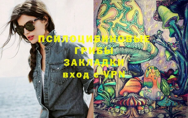 сатива Вязники