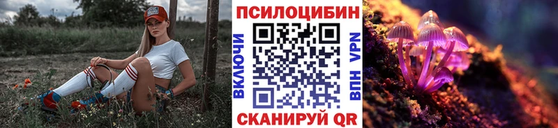 Купить где  Подпорожье  Галлюциногенные грибы Psilocybine cubensis 