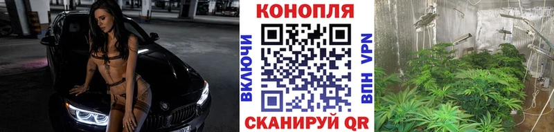Купить где  Подпорожье  Бошки марихуана ГИДРОПОН 
